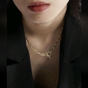 Gold Clasp Link Chain Necklace